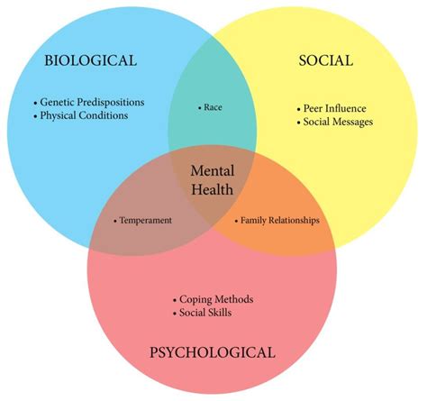 1 Example Of A Biopsychosocial Approach Influences Overlap And