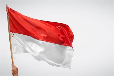 Maybe you would like to learn more about one of these? Sejarah Bendera Merah Putih Di Indonesia - Seputar Sejarah
