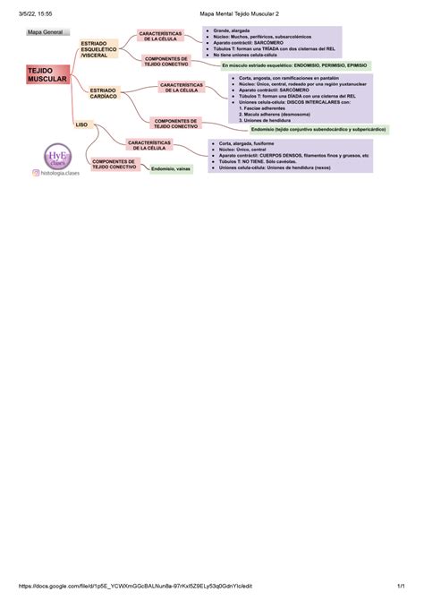 Mapa Mental Tejido Muscular 2 Citología histología y embriología 3
