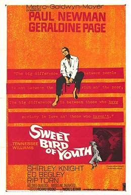 Sweet Bird Of Youth Richard Brooks Compromised Version Of