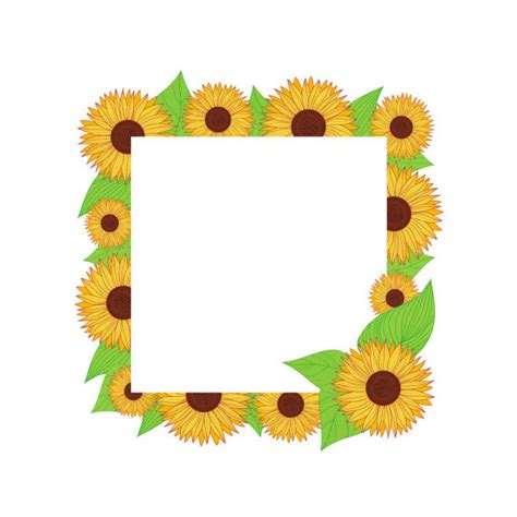 Download Yellow Sunflowers Border Cartoon Illustrations, Royalty ...