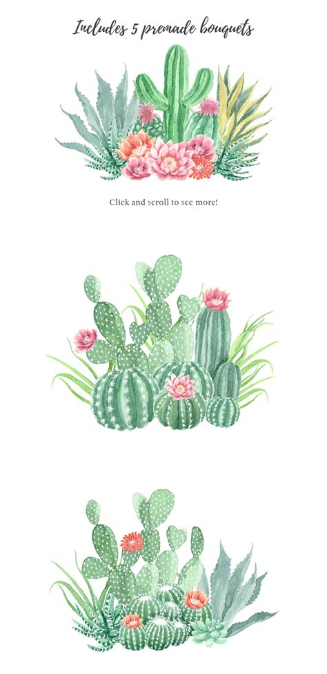 Watercolor Cactus And Succulents Collection By Birdiy Design