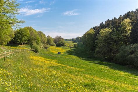 Waldwiese Im Frühling Foto And Bild Landschaft Äcker Felder And Wiesen