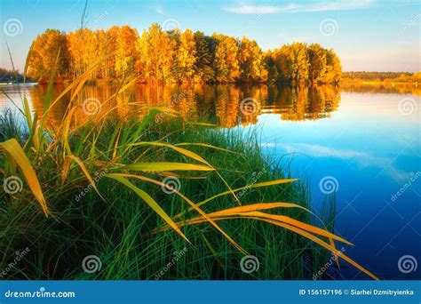 Scenic Autumn Nature Autumn Landscape On Lake Shore Stock Photo