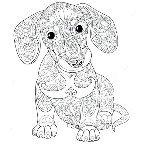 The Best Free Dachshund Coloring Page Images Download From 228 Free