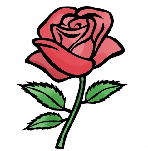Rose Flower Cartoon Images Go Images Club