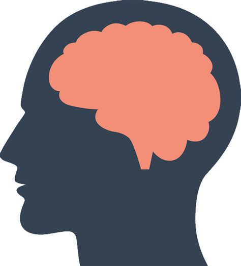 Brain Png Images Transparent Background Png Play