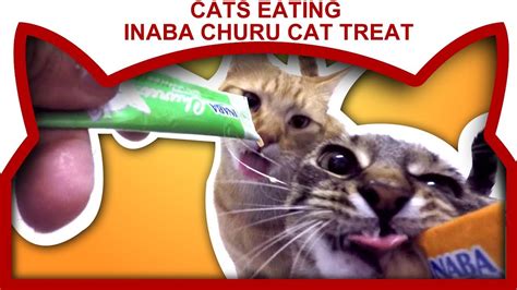Cats Eating Inaba Churu Cat Treat - YouTube