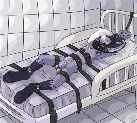 Rule 34 Asylum Bed Blush Bondage Bound Chastity Chastity Cage Chastity Device Fur Lagomorph