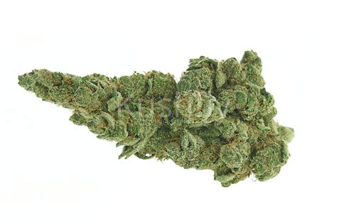 Gelato Strain Cannabis Delivery And Information