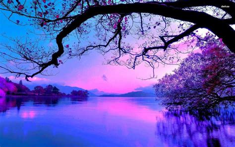 Photos Beautiful Purple Sunset Maf04 Flickr Sunrise Wallpaper