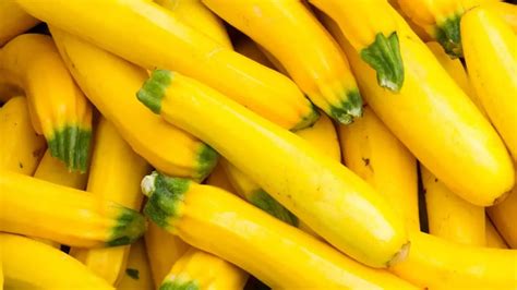 How To Tell If Yellow Squash Is Bad