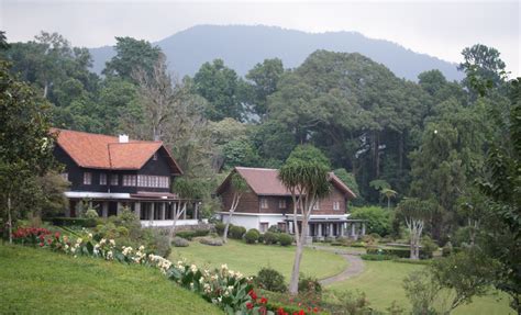 Kebun raya batam seluas 85.662ha hanya. Kebun Raya Cibodas Wisata Alam Pilihan Keluarga di Jawa Barat - Jawa Barat