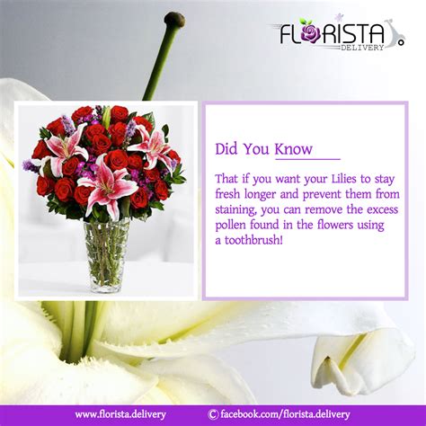Interesting Fact About Lily Lily Fun Facts Flowers