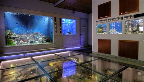 Piran Aquarium Inside Travelsloveniaorg All You Need To Know To