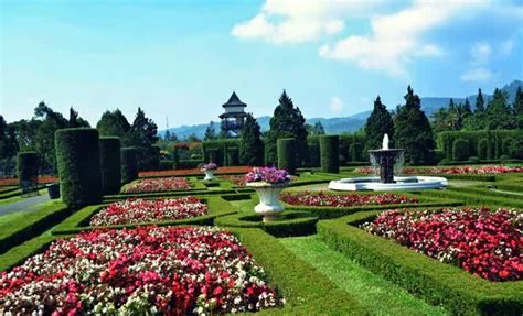 Bunga lobelia bunga lobelia berisi 100 biji per paket. 5 Tempat Wisata Taman Bunga Terindah di Indonesia! | Taman ...