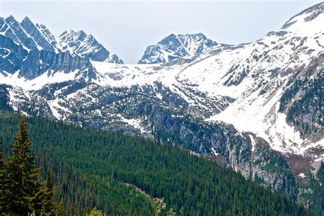 Glaciers Of Columbia Mountains From Rogers Pass In Glacier Np Bc