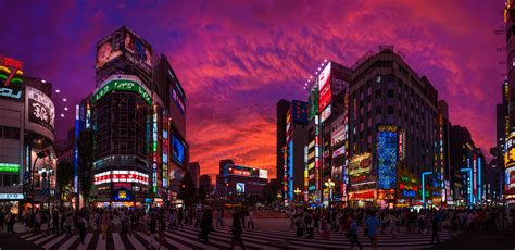 Natures Neon In Shinjuku Japan Travel Caffeine