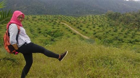 Siapa Bilang Kebun Sawit Tak Bisa Dijadikan Destinasi Wisata Ini Buktinya