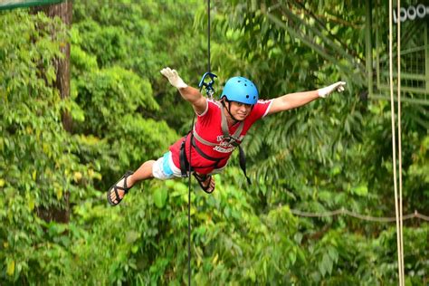 Tree Top Adventure Experience The Extreme