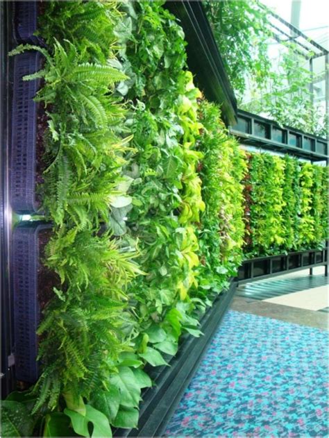 Best 25 Living Walls Vertical Gardens Ideas Vertical Garden Diy