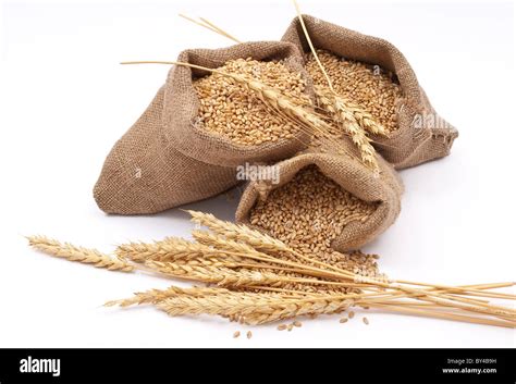 Sacks Of Wheat Grains Stock Photo Alamy