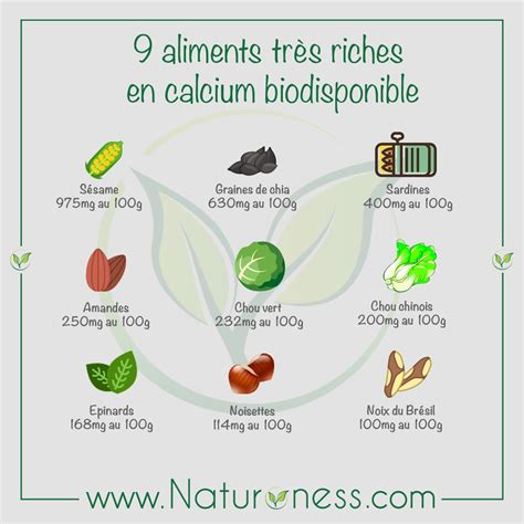 Quels Aliments Riches En Calcium Quelle Biodisponibilit Dans Les Hot Sex Picture