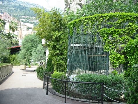 Zoo De Monaco Photos Prix Horaires Douverture Comment Se Rendre