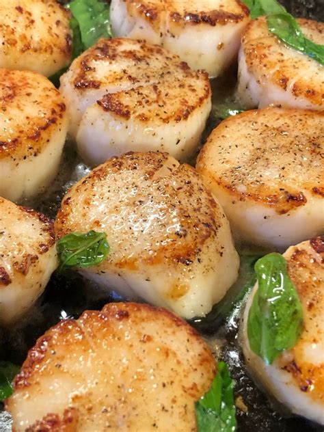 20 Minute Panko And Parmesan Crusted Baked Scallops