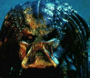If an article link referred you here, you might want to go back and fix it to point directly to the intended page. Alien Vs Predator - feature