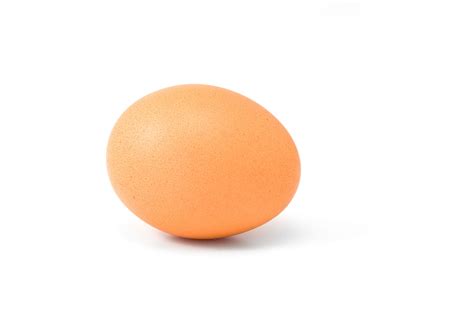 An Egg Free Stock Photo Public Domain Pictures