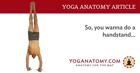 So You Wanna Do A Handstand Yoganatomy