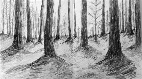 Darker Original Drawing Of Woods Drawing A N The Artists Information