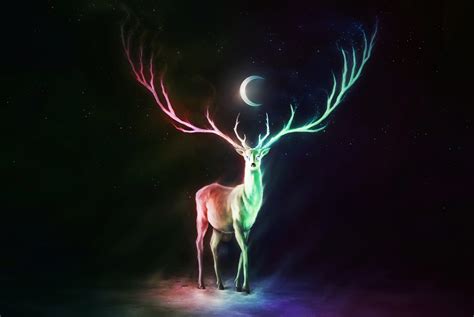 Download Crescent Night Fantasy Deer k Ultra HD Wallpaper by Jonas Jödicke