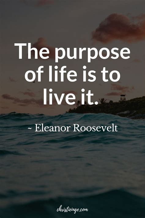 Why I Dont Recommend Looking For Your Life Purpose Roosevelt Quotes