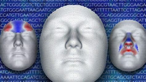 La Cara Un Espejo De Nuestros Genes
