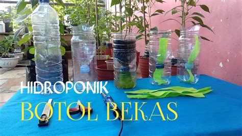 Cara Membuat Media Hidroponik Dari Botol Bekas Air Mineral Dengan Sistem Wick Youtube