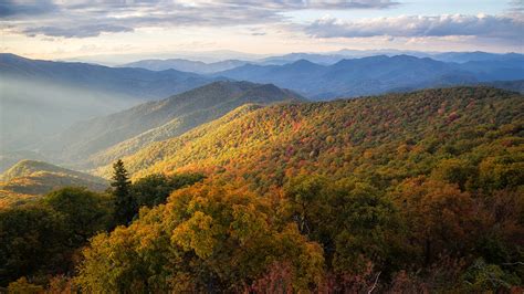 Wallpaper Usa North Carolina Nature Autumn Mountain Forest 1920x1080