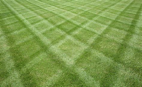 How To Stripe Your Lawn
