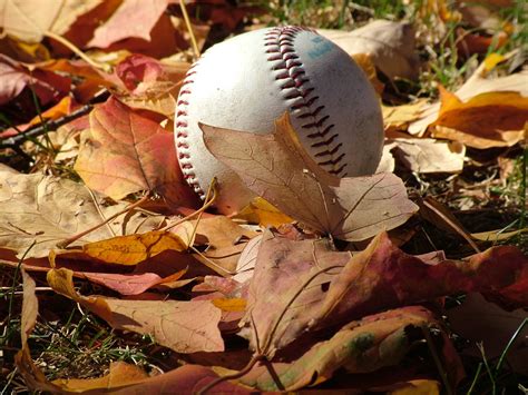 Check spelling or type a new query. Free Fall baseball Stock Photo - FreeImages.com