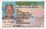 Florida Drivers License Permit Test