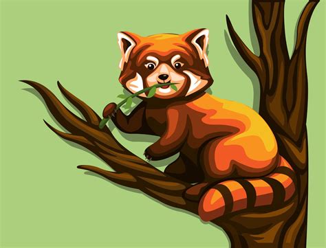 Chinese Red Panda Eating Leaves In Tree Exotic Animal Illustration