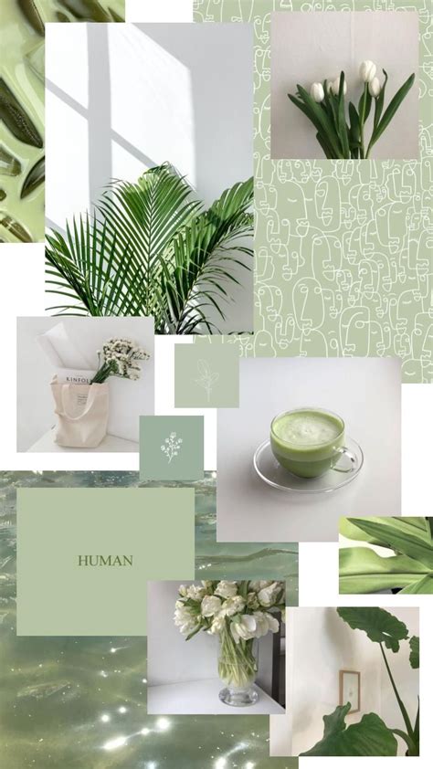 Canva's collection of free thank you postcard templates will have you want to send a hundred thank you notes all at once. Green Aesthetic Plant Wallpapers - Wallpaper Cave