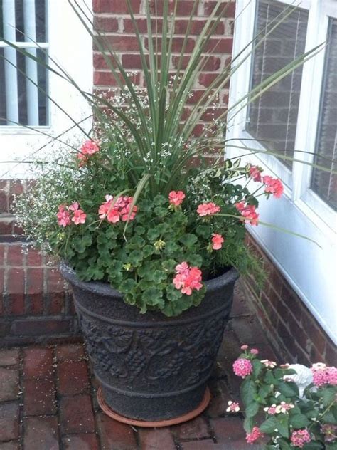 When one finishes flowering, another begins. Plan Now! Annual Flower Containers | Container flowers ...