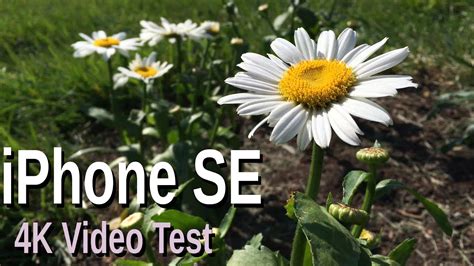 Iphone Se 4k Video Youtube