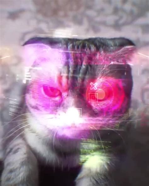 Cyberpunk Cat Coub The Biggest Video Meme Platform