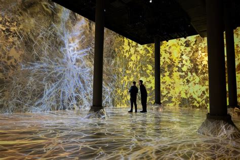 10 Best Immersive Art Experiences In The Usa