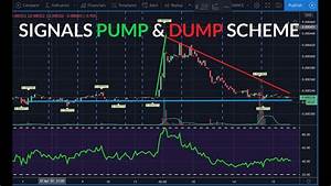 Pump And Dump In Crypto Is It Dangerous For Beginner Traders