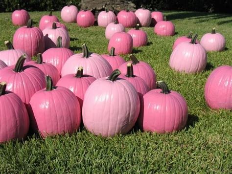 Pink Painted Pumpkins Pretty Pumpkins Pink Pumpkins Painted Pumpkins