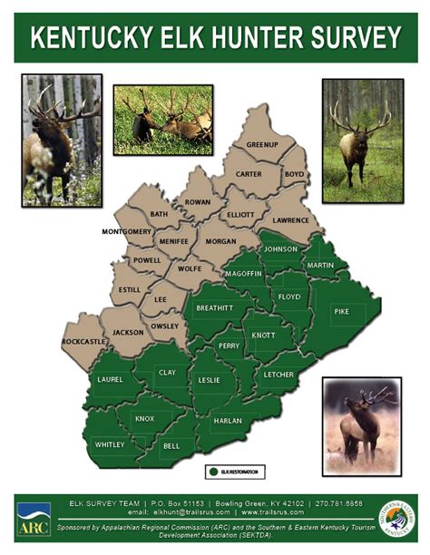Elk In Kentucky